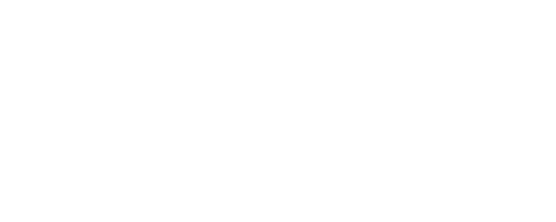 ProtoFlow Logo